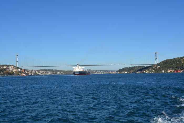 Accurately together and sewed the body