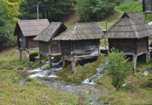 Who Should Protect Rumelia?