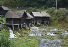 The Turkish Government and the Sultan’s Role