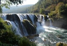 Purpose of the Journey