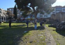 Criticism Edward III